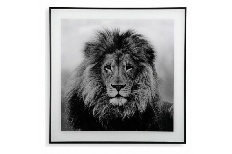 Cadre Versa Lion Verre (2 x 50 x 50 cm)