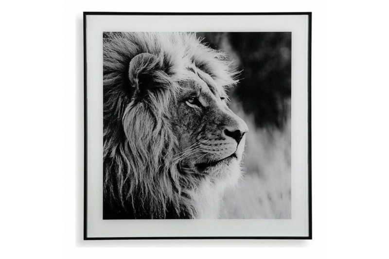 Cadre Versa Lion Verre (2 x 50 x 50 cm)