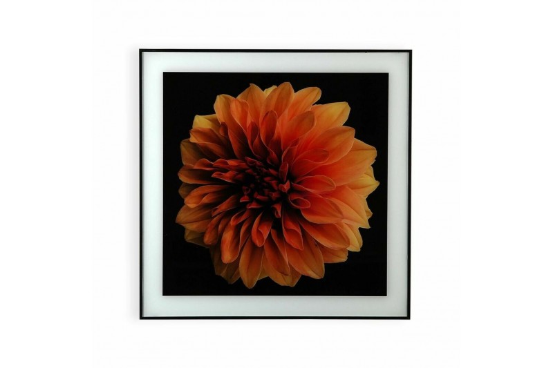 Bild Versa Blume Kristall polystyrol...