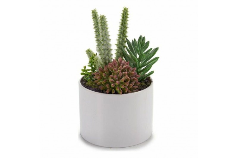 Decoratieve plant Plastic (11 x 15 x...