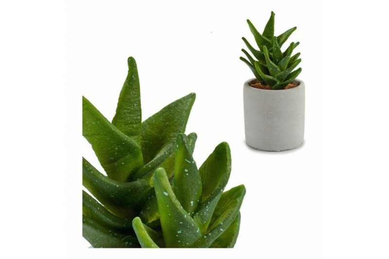 Cactus BIG-S3600890 Cactus Plastica...