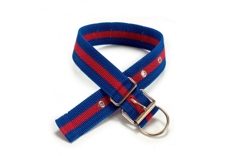 Collier pour Chien Grand Convient...