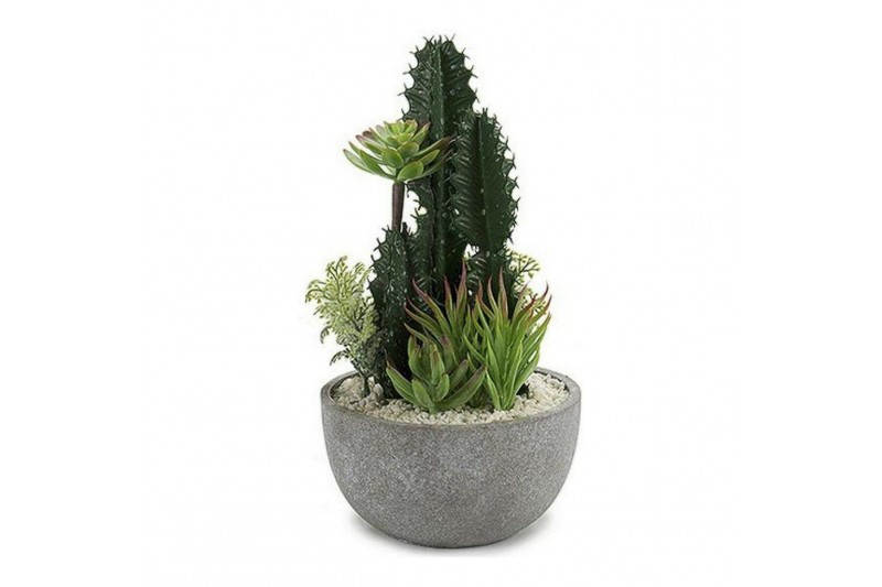 Cactus BIG-S3601496 Ceramica Cactus...