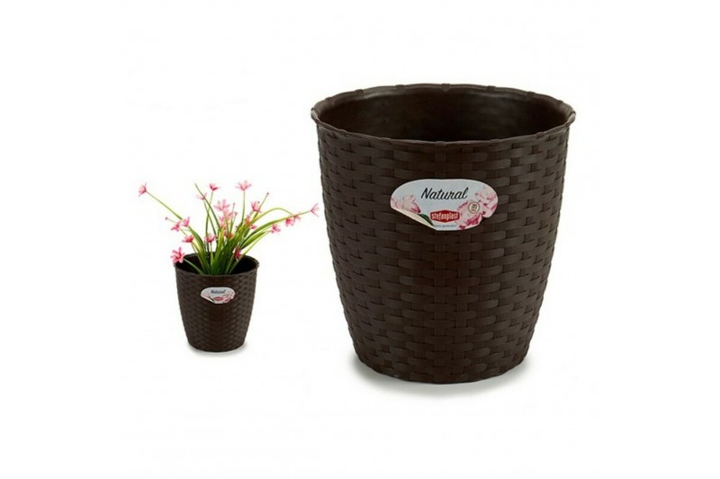 Plant pot