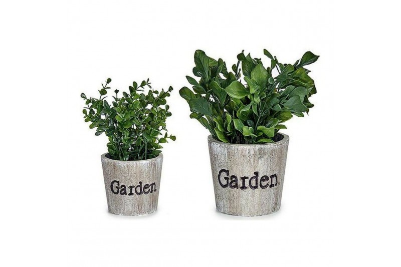 Decoratieve plant Groen Plastic (16 x...