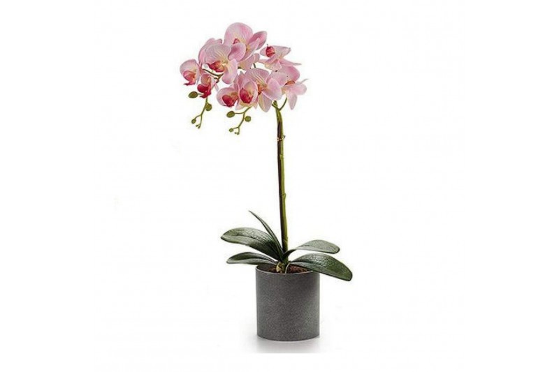 Plant pot Grey (14 x 51 x 21	 cm)