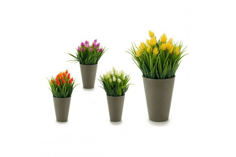 Decoratieve plant Grijs Plastic (10 x...