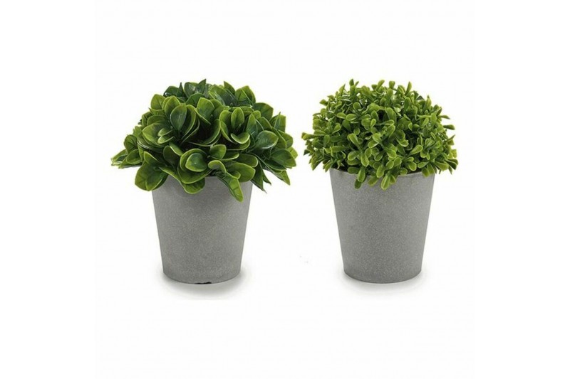 Decoratieve plant Grijs Groen Plastic...