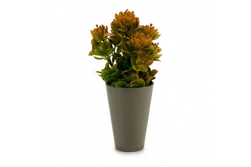 Decoratieve plant Grijs Plastic (10 x...