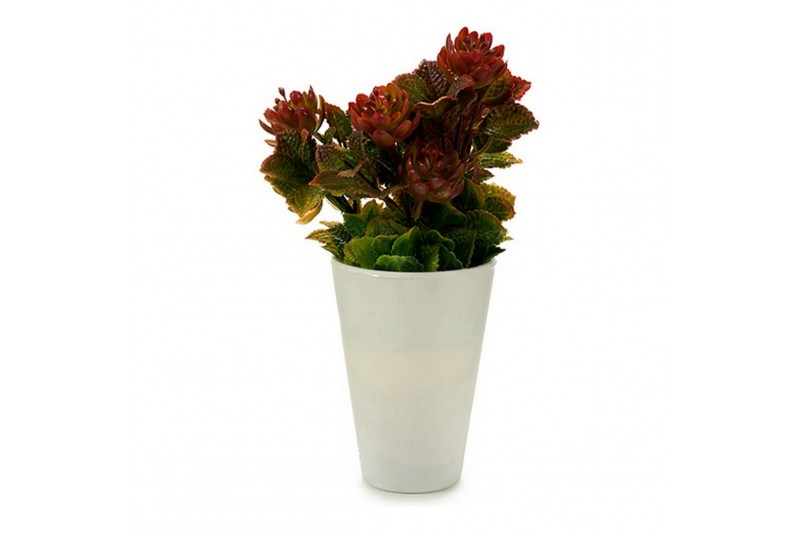 Decoratieve plant Wit Plastic (10 x...