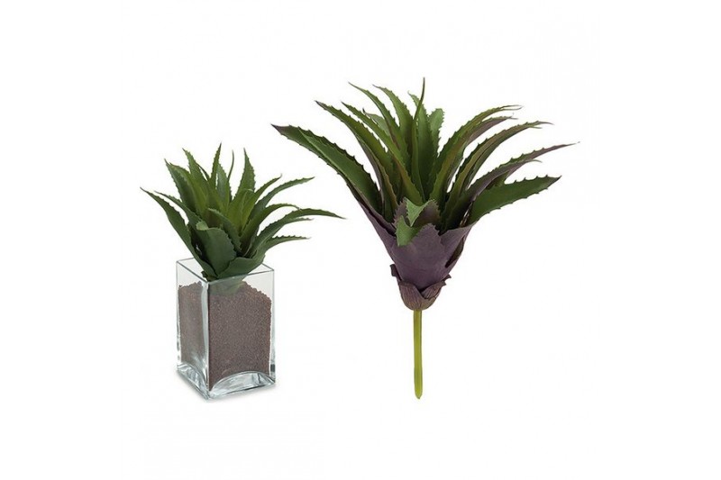 Decoratieve plant (25 x 27 x 25 cm)