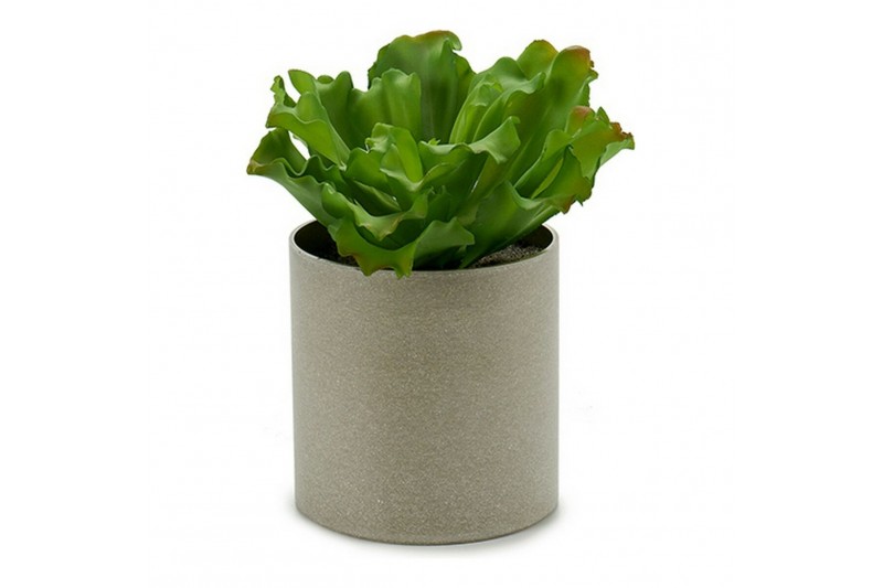 Planta Decorativa (20 x 25 x 20	 cm)