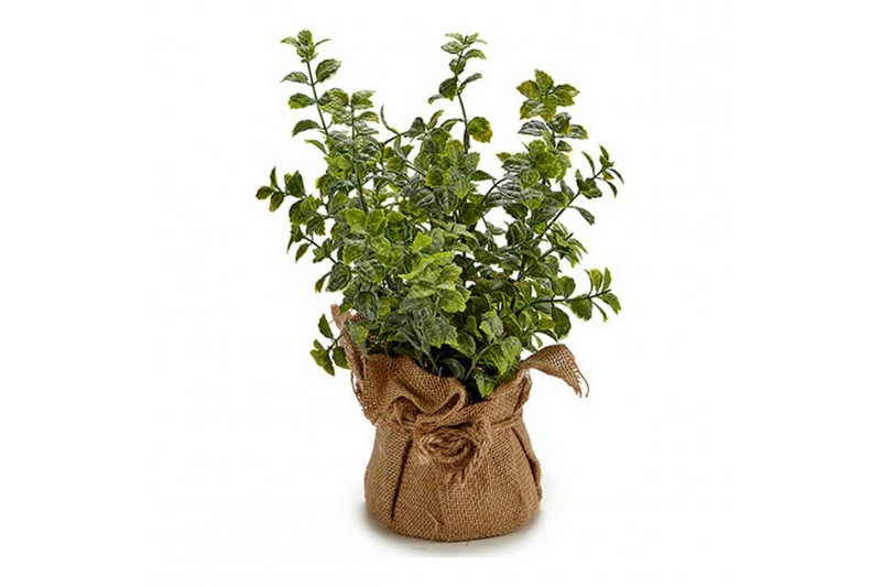 Plante décorative Plastique (12 x 31...