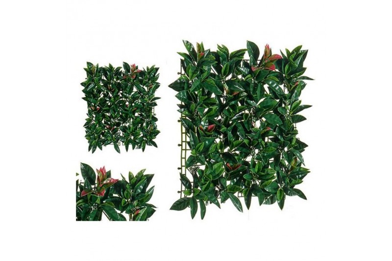 Decoratieve plant Groen Plastic (50 x...