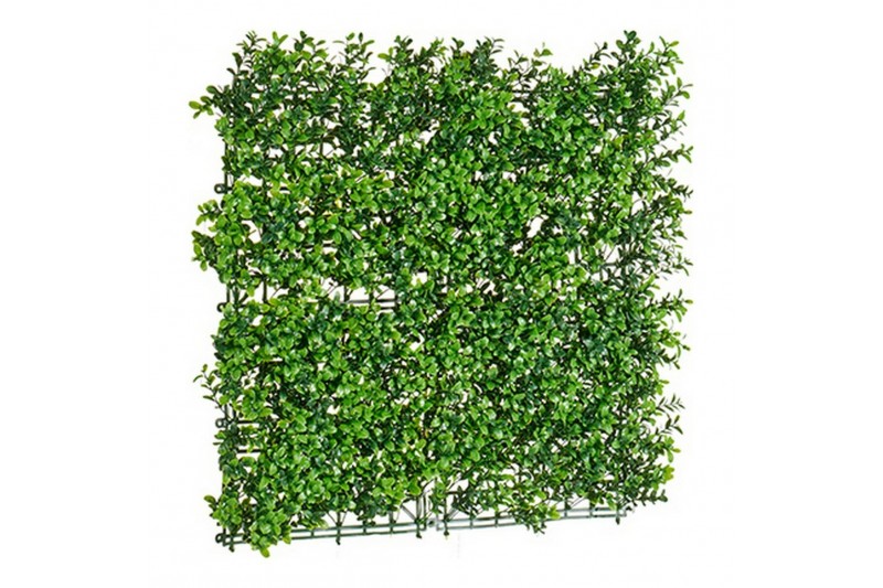 Decoratieve plant Groen Plastic (50 x...