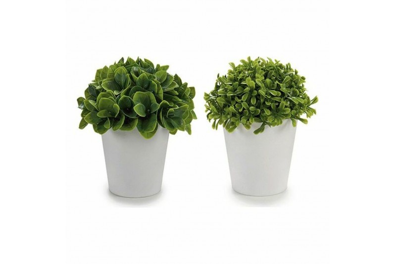 Decoratieve plant ‎S3605248 Wit Groen...