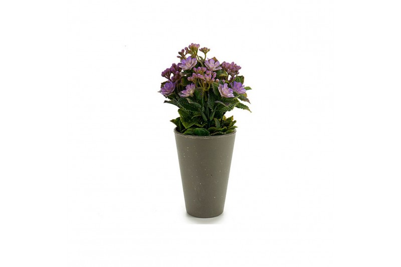 Plant pot Grey Plastic