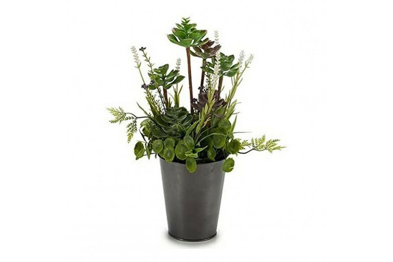 Plante décorative Plastique (20 x 41...