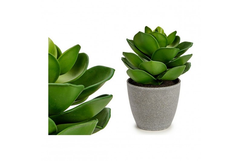 Decoratieve plant Grijs Groen Plastic...