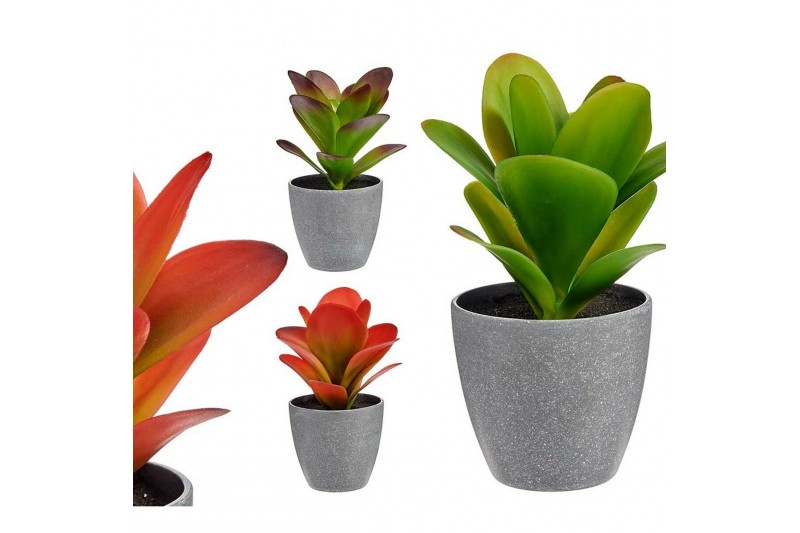 Decoratieve plant Rood Groen Plastic...