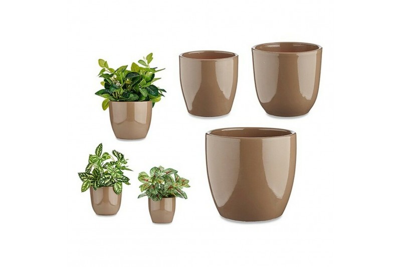 Set of pots Brown Clay (3 Pieces)...