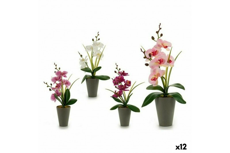 Decorative Plant Orchid Plastic (8 x...