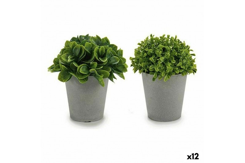 Decoratieve plant Grijs Groen Plastic...