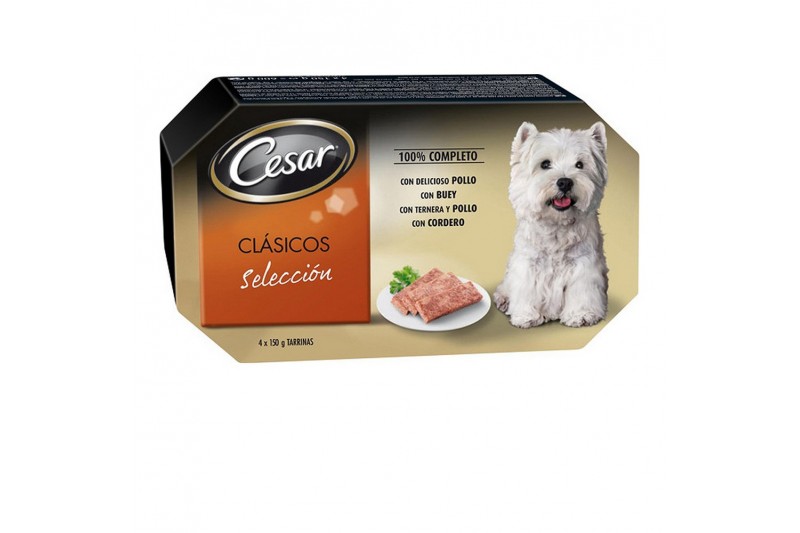 Cibo umido Cesar (4 x 150 g)