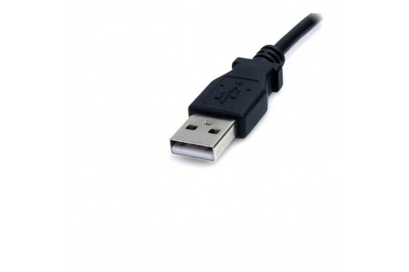 Câble USB M Startech USB2TYPEM