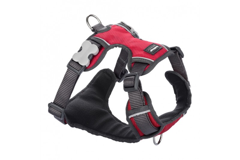 Dog Harness Red Dingo Padded Red XS size