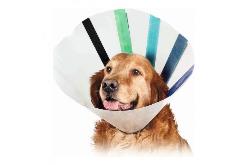 Elizabethan Dog Collar KVP EZ Clear...