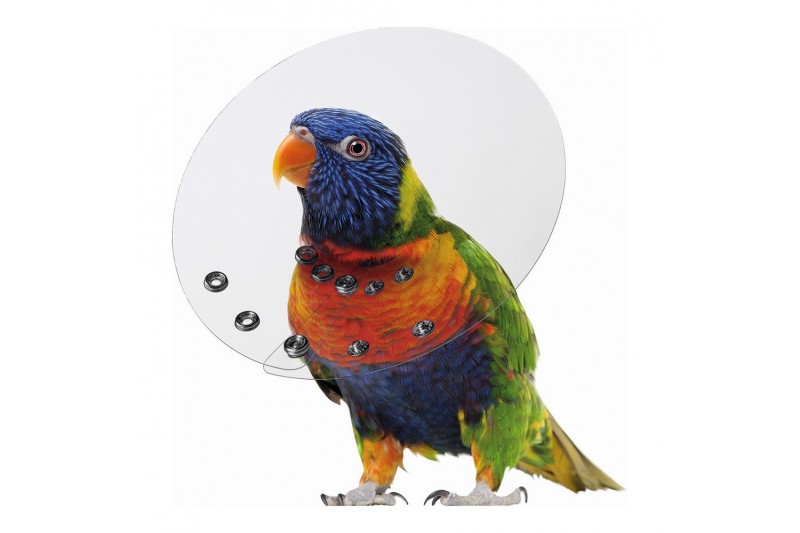 Elizabethan Bird Collar KVP...