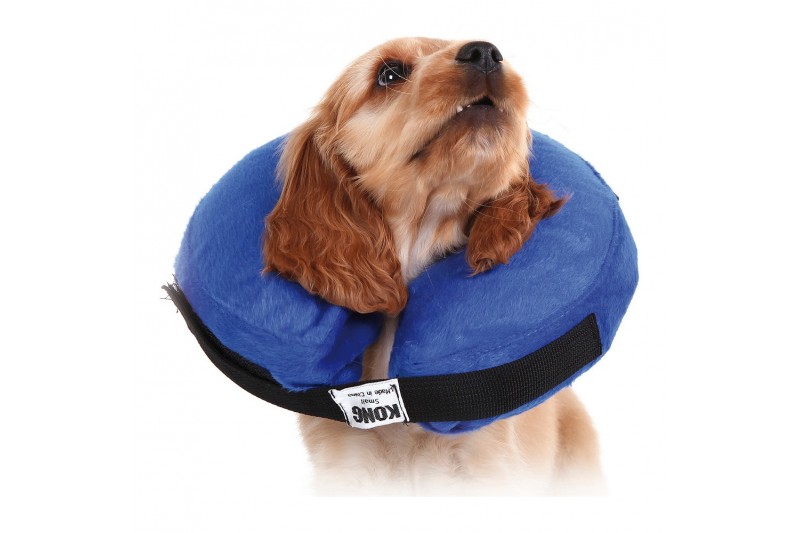 Collier de récupération pour chiens...