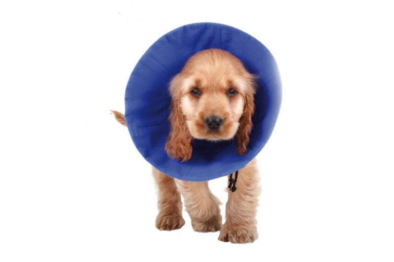 Elizabethan Dog Collar KVP EZ Soft...