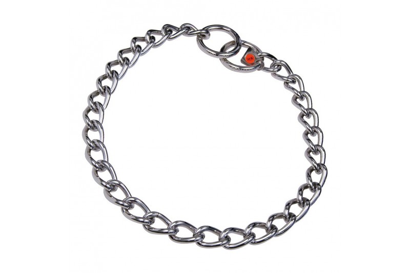 Dog collar Hs Sprenger Silver 4 mm...