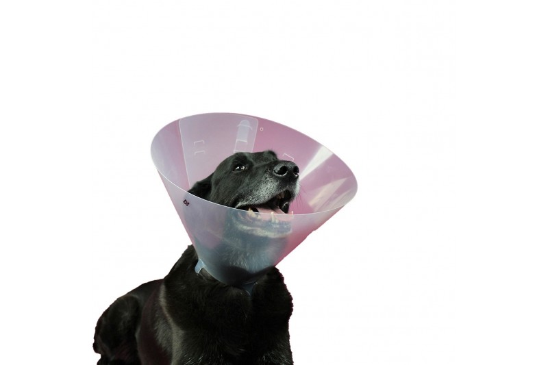 Elizabethan Dog Collar KVP Betsy...