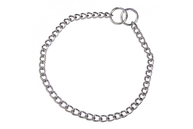 Dog collar Hs Sprenger Silver 2,5 mm...