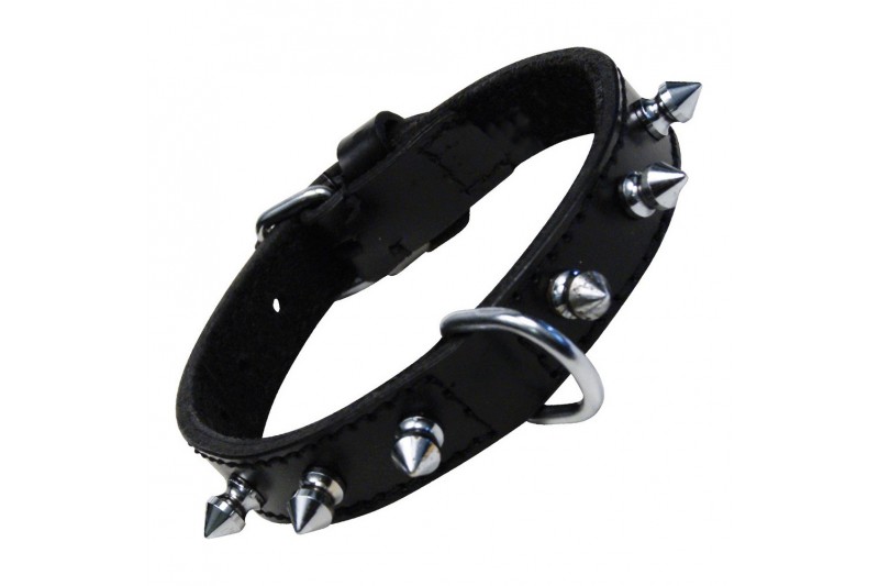 Hundehalsband Gloria Schwarz Spikes...