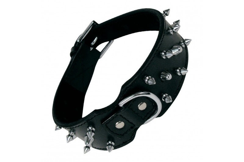 Hundehalsband Gloria Schwarz Spikes...