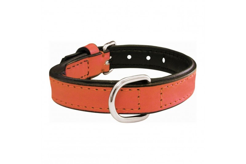 Dog collar Gloria Padded Coral (30 x...