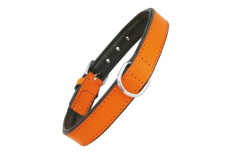 Dog collar Gloria Padded Orange (30 x...