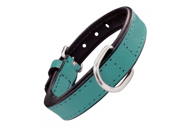 Dog collar Gloria Padded Turquoise...