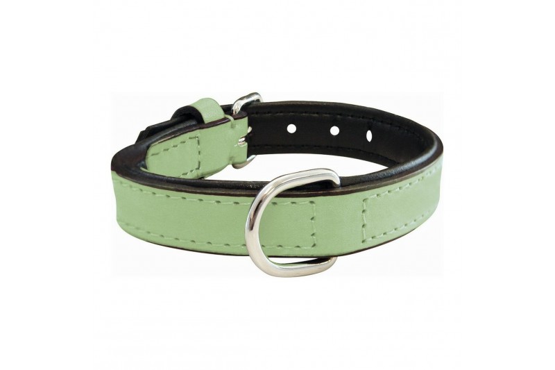 Dog collar Gloria Padded Green (45 x...