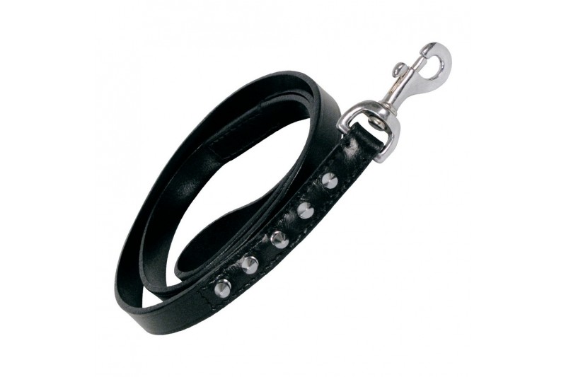 Dog Lead Gloria Black 105 cm