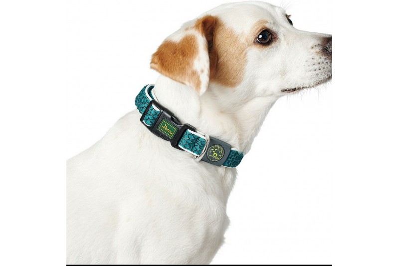 Dog collar Hunter Basic Thread Blue...