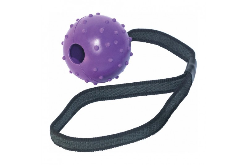 Dog teether Gloria Met touw Rubber (5...