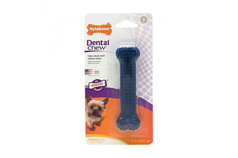 Dog toy Small Blue Thermoplastic