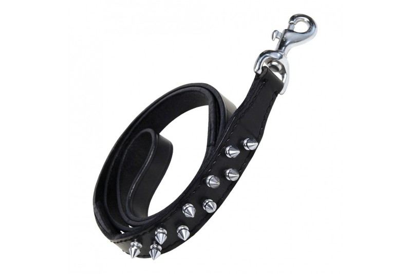 Dog Lead Gloria Black 105 cm