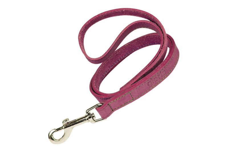 Dog Lead Gloria Oasis 3 x 60 cm Pink