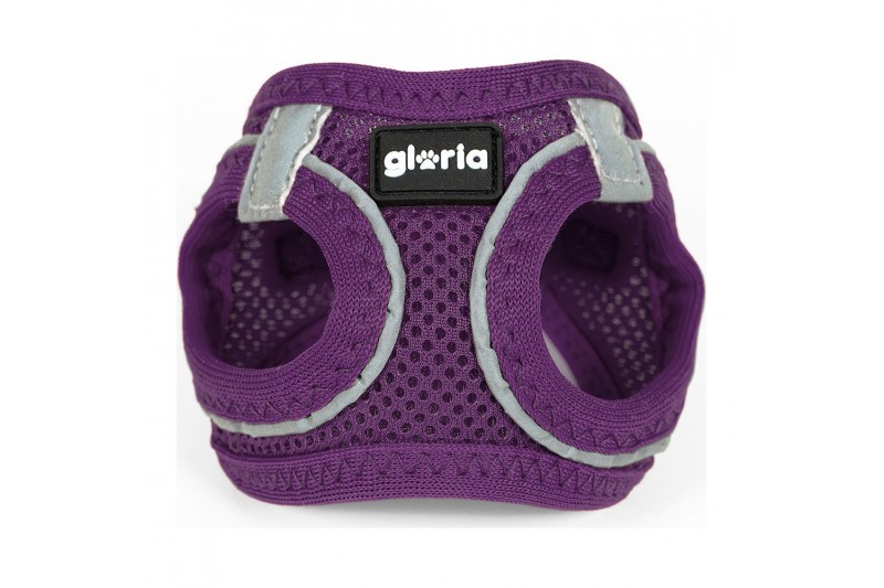 Dog Harness Gloria Air Mesh Trek Star...